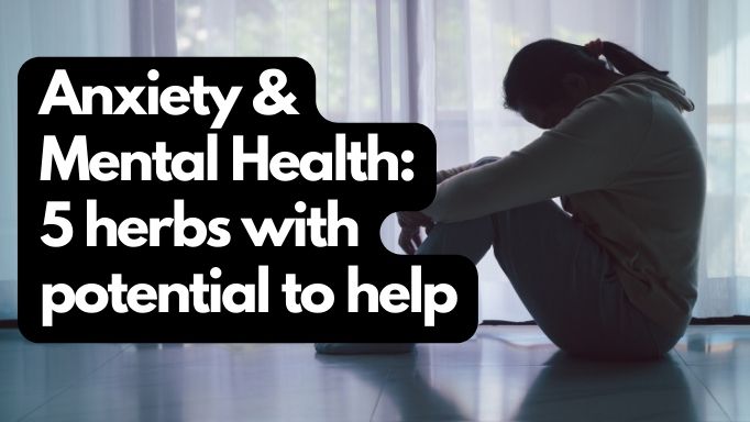 Anxiety & Mental Health: 5 herbs with potential to help | Vita Herbal Nutrition