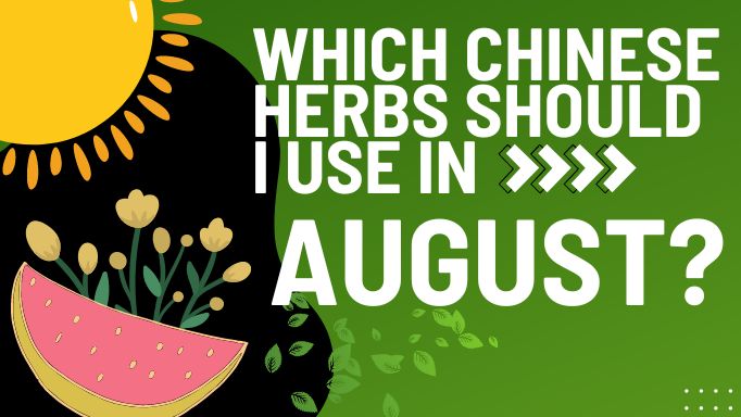 Which Chinese herbs should I use in August?