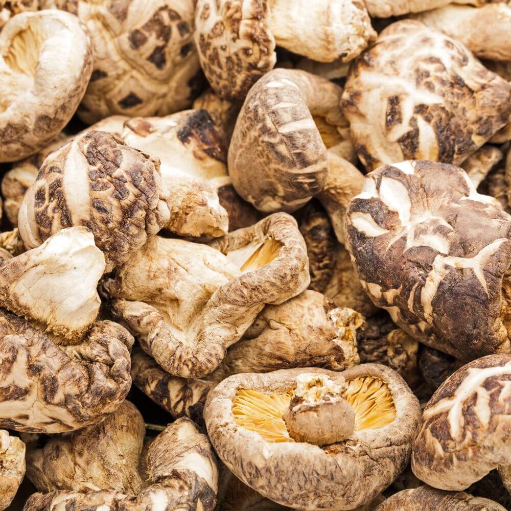 Dried Shiitake Mushrooms 花菇 (Xiang Gu) | (50g)
