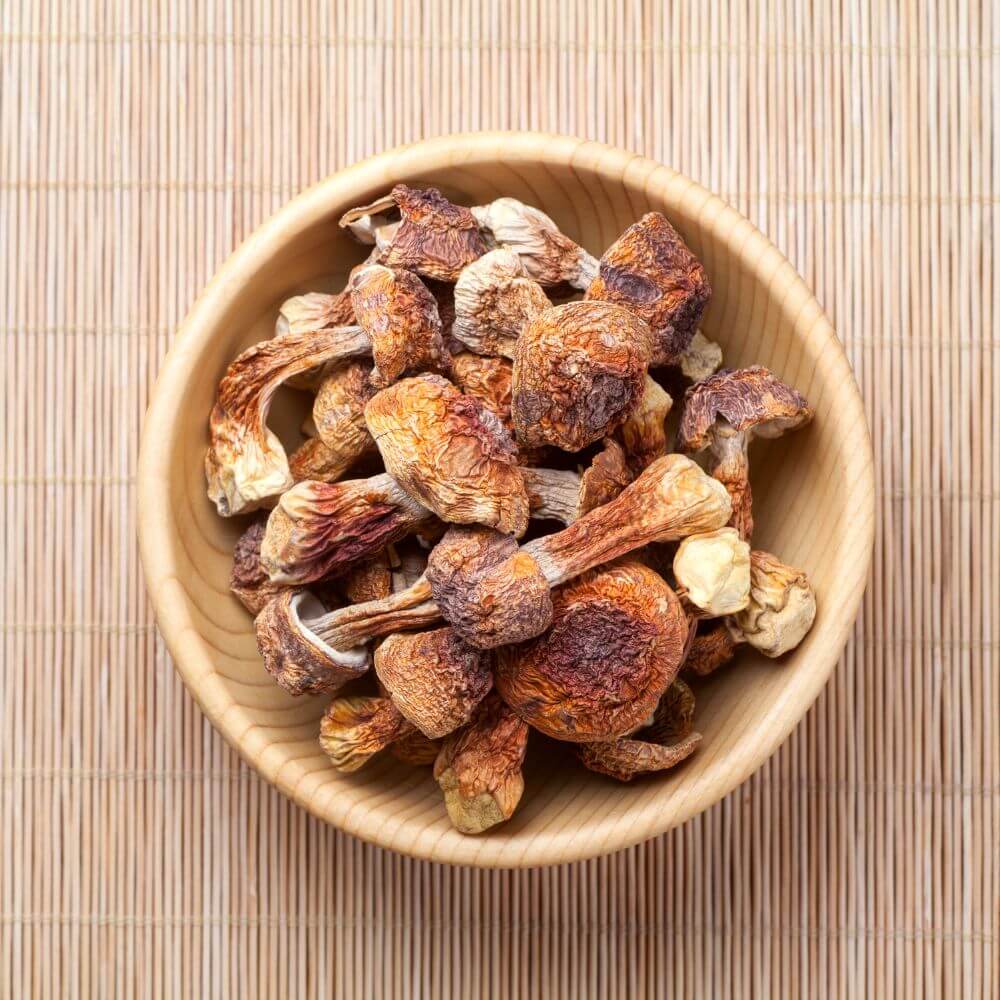 Dried Agaricus Mushroom - functional mushroom supplement
