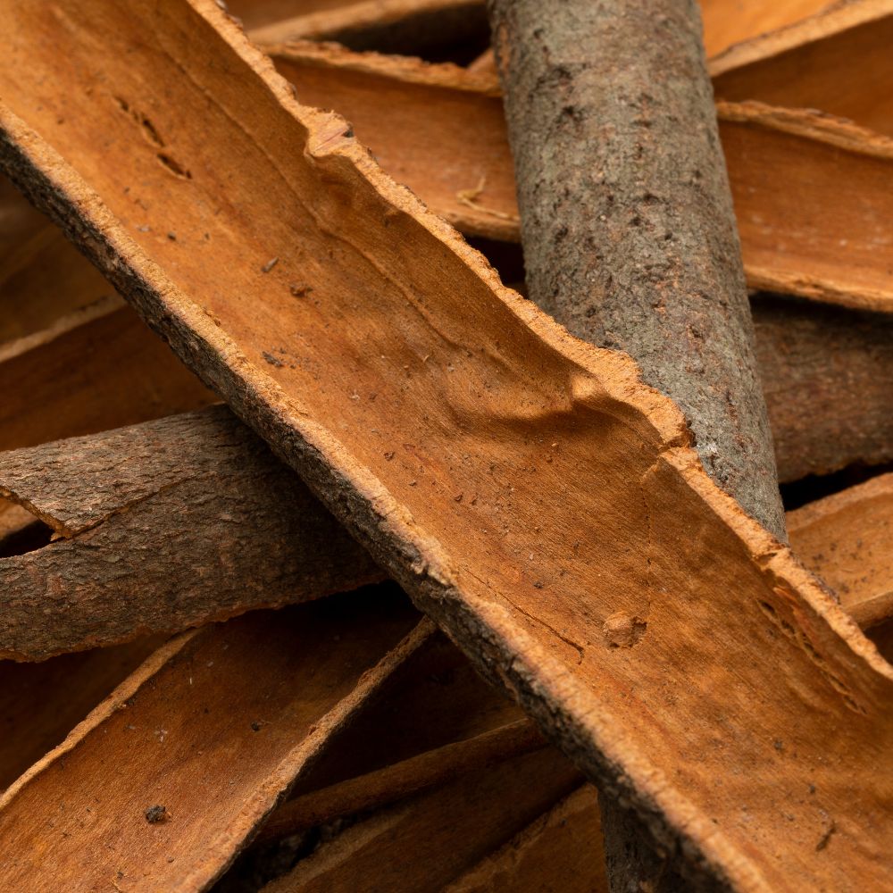 Dried Cinnamon Bark 肉桂 (Rou Gui) | (500g)