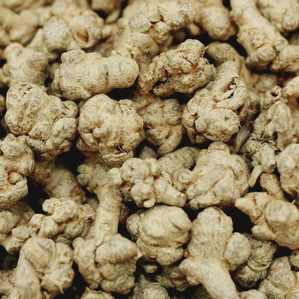 Dried Notoginseng Panax