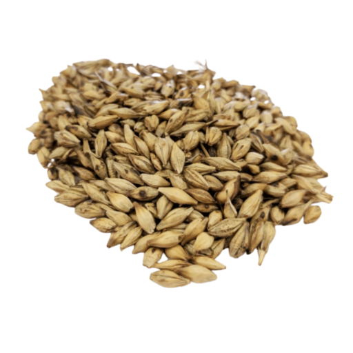 Dried Barley Grain 麦芽 (Mai Ya Chao) | (500g)