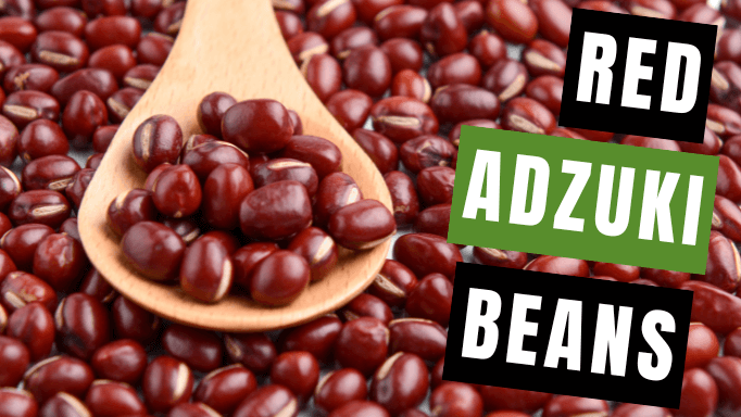 Dried Red Adzuki Beans 