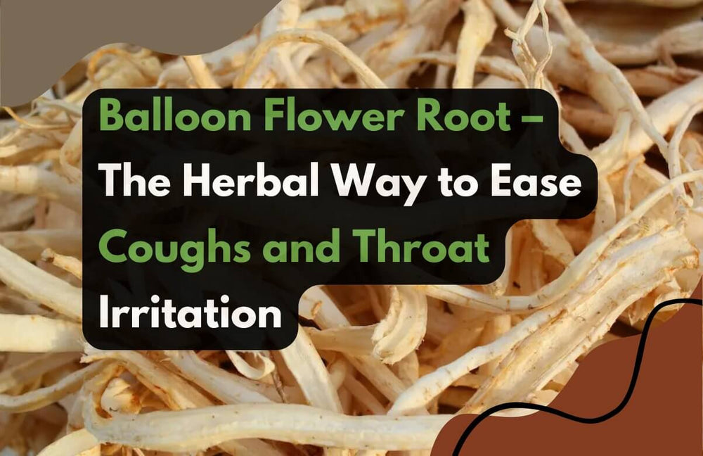 Balloon Flower Root for coughs