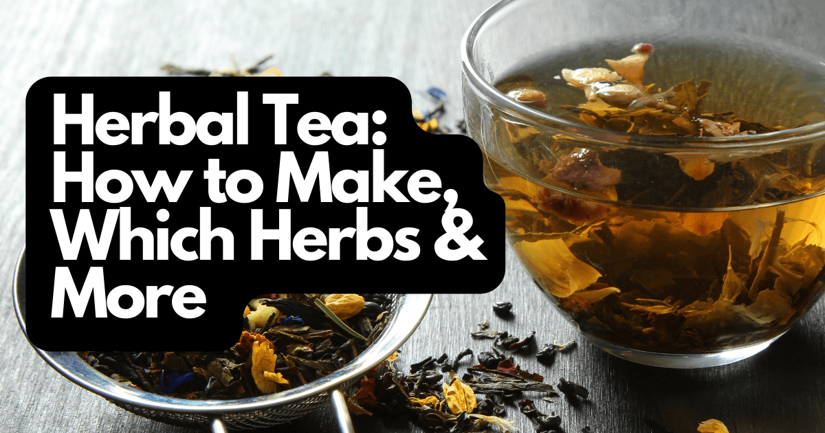 Herbal Tea: How to make, which herbs & more