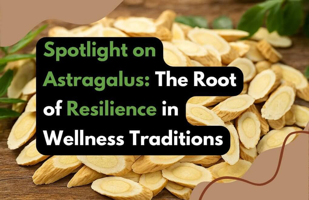 Spotlight on Astragalus: The Root of Resilience in Wellness Traditions