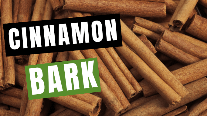 Dried Cinnamon Bark (Rou Gui): About, Benefits & Uses | Vita Herbal Nutrition