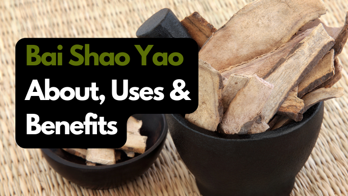 Bai Shao Yao: About, Benefits & Uses