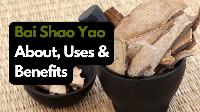 Bai Shao Yao: About, Uses and Benefits