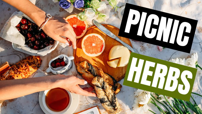 International Picnic Day 2022: Herbs To Create Extra Tasty Snack Ideas