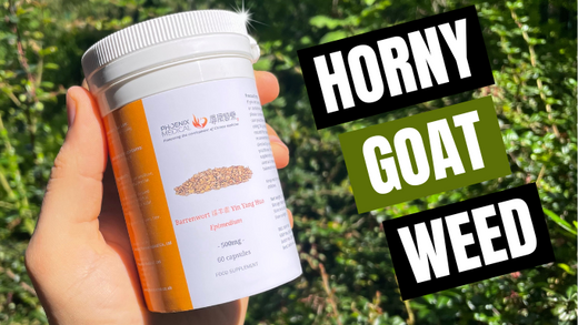 Horny Goat Weed: What Is It, How to Take & What are the Potential Benefits?