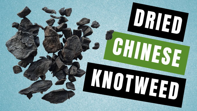 Dried Chinese Knotweed: Benefits & Potential Uses