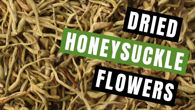 Dried Honeysuckle Flowers: About, Benefits & Uses | Vita Herbal Nutrition