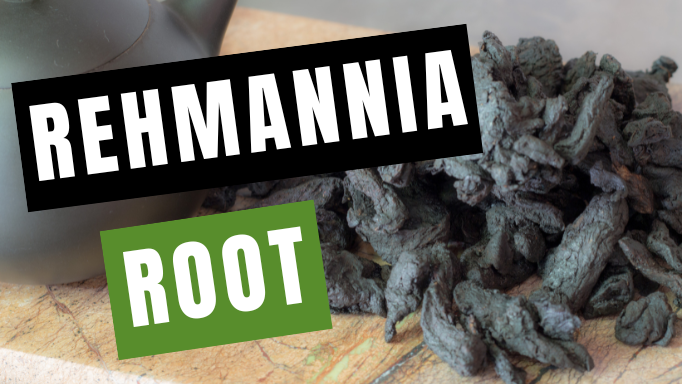 3 Brilliant Uses for Rehmannia Root (Shu Di Huang) | Vita Herbal Nutrition