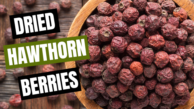 Dried Hawthorn Berries: The Ultimate Guide On How To Use, Benefits & More