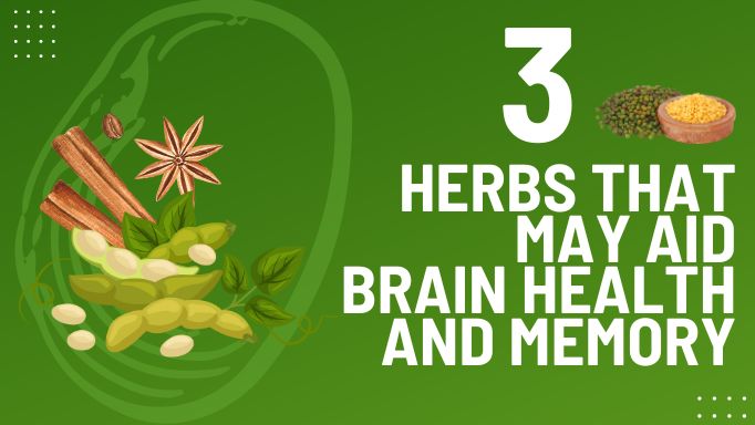 3 herbs that may aid brain function and memory