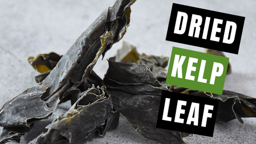 5 Great Ways to Use Dried Kelp Leaf (Kun Bu) | Vita Herbal Nutrition