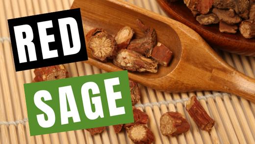 Red Sage (Dan Shen): What Is It, How to Take & The Potential Benefits | Vita Herbal Nutrition