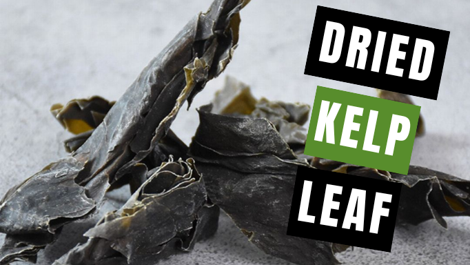 5 Great Ways to Use Dried Kelp Leaf (Kun Bu) | Vita Herbal Nutrition