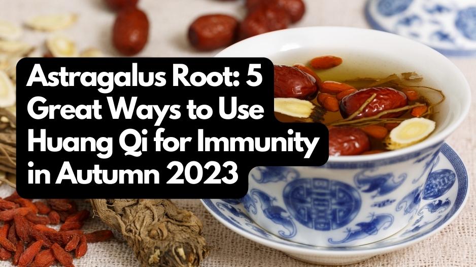 Astragalus Root: 5 Great Ways to Use Huang Qi for Immunity in Autumn 2023