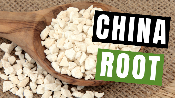 Poria (China Root/Fu Ling): About, Benefits & Uses | Vita Herbal Nutrition