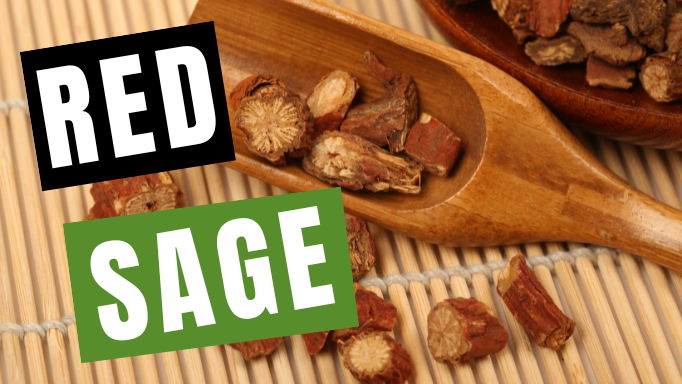 Red Sage (Dan Shen): What Is It, How to Take & The Potential Benefits? | Vita Herbal Nutrition