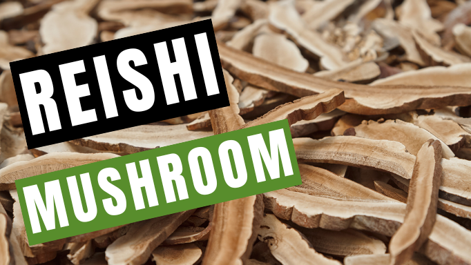 Reishi Mushroom: 5 Great Uses for this Herb