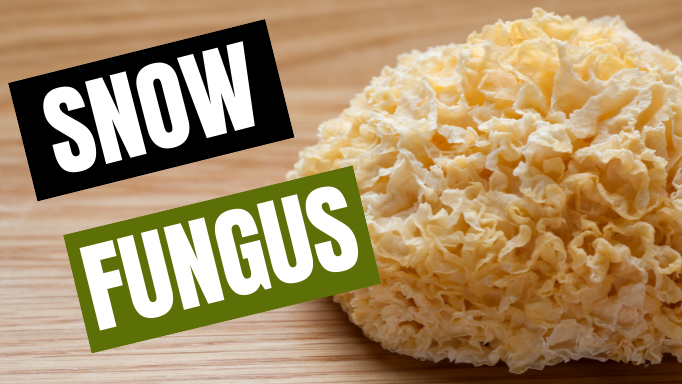 Snow Fungus: 5 Easy Ways to Use in Cooking
