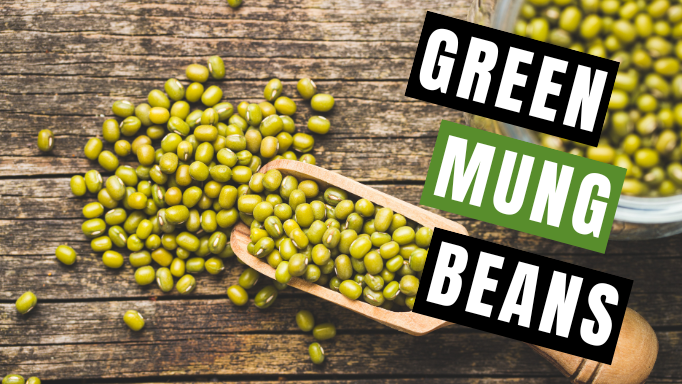 Green Mung Beans: 5 Fantastic Uses For This Herb