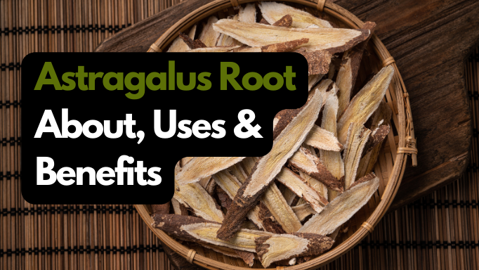 Astragalus Root: About, uses and benefits