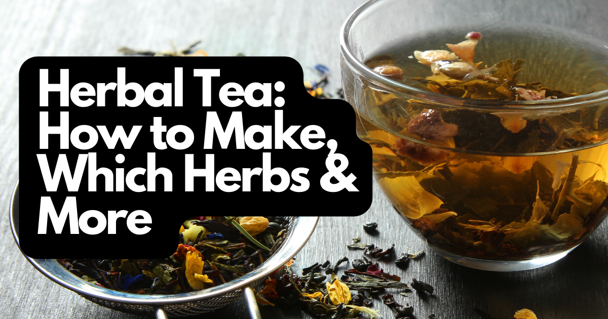 Herbal Tea: How to Make, Which Herbs & More