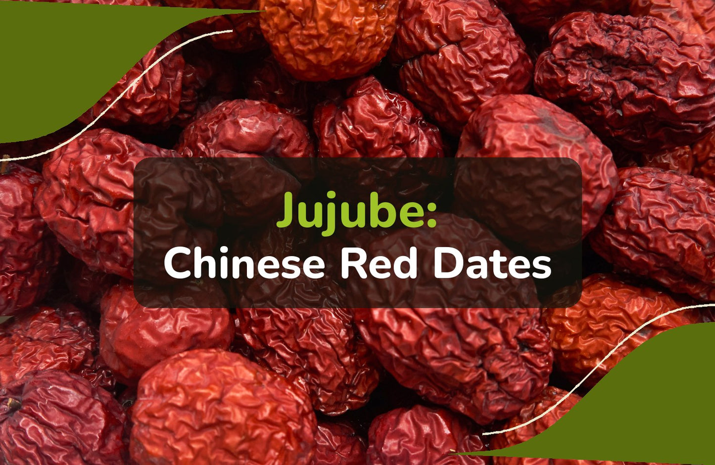 Jujube red dates: what they are and how to use them