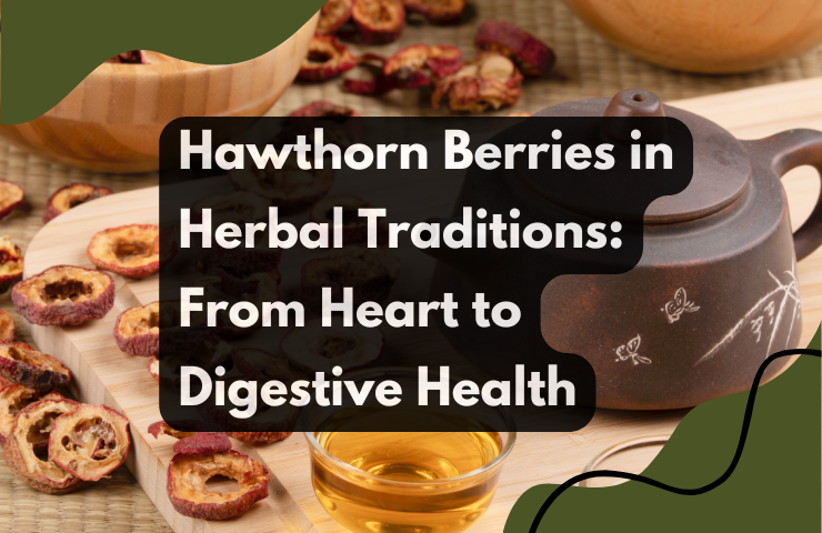 Hawthorn Berries in Herbal Traditions: From Heart to Digestive Health