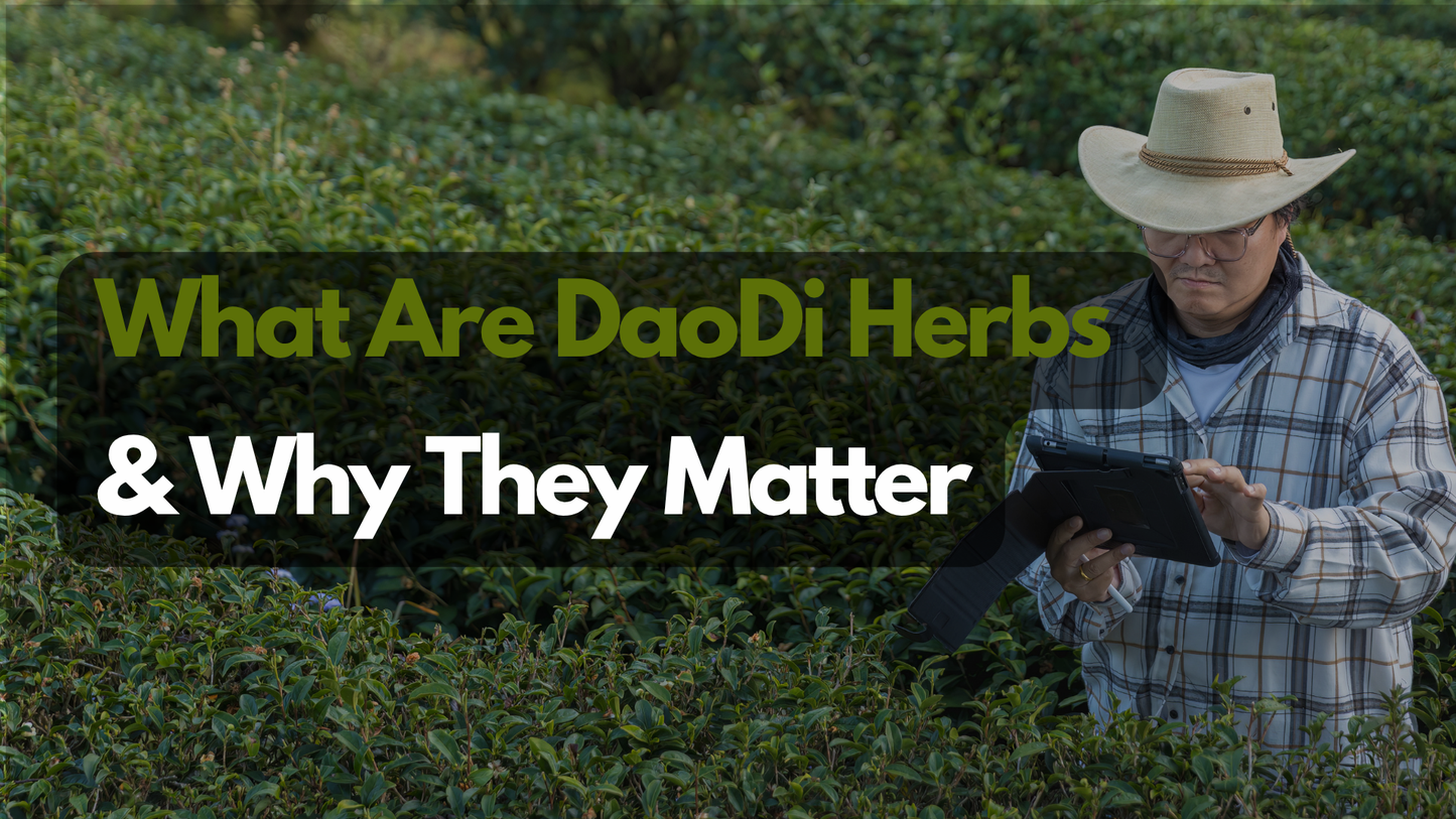 What Are DaoDi Herbs & Why They Matter