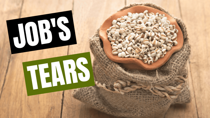 Job's Tears: 5 Quick Ways to Use These in Cooking