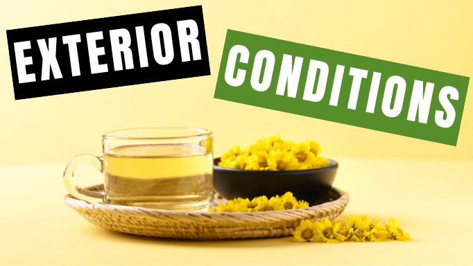 Exterior Conditions: 3 Warm Pungent Herbs For Treatment | Vita Herbal Nutrition