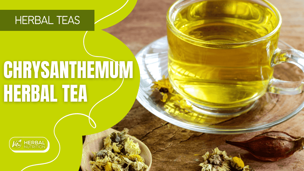 Chrysanthemum Herbal Tea | Vita Herbal Nutrition