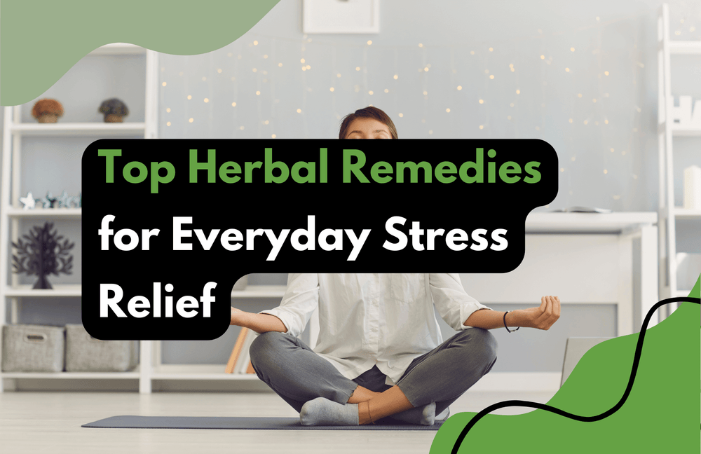 Top Herbal Remedies for Everyday Stress Relief