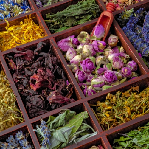 Herbs for Tea | Vita Herbal Nutrition