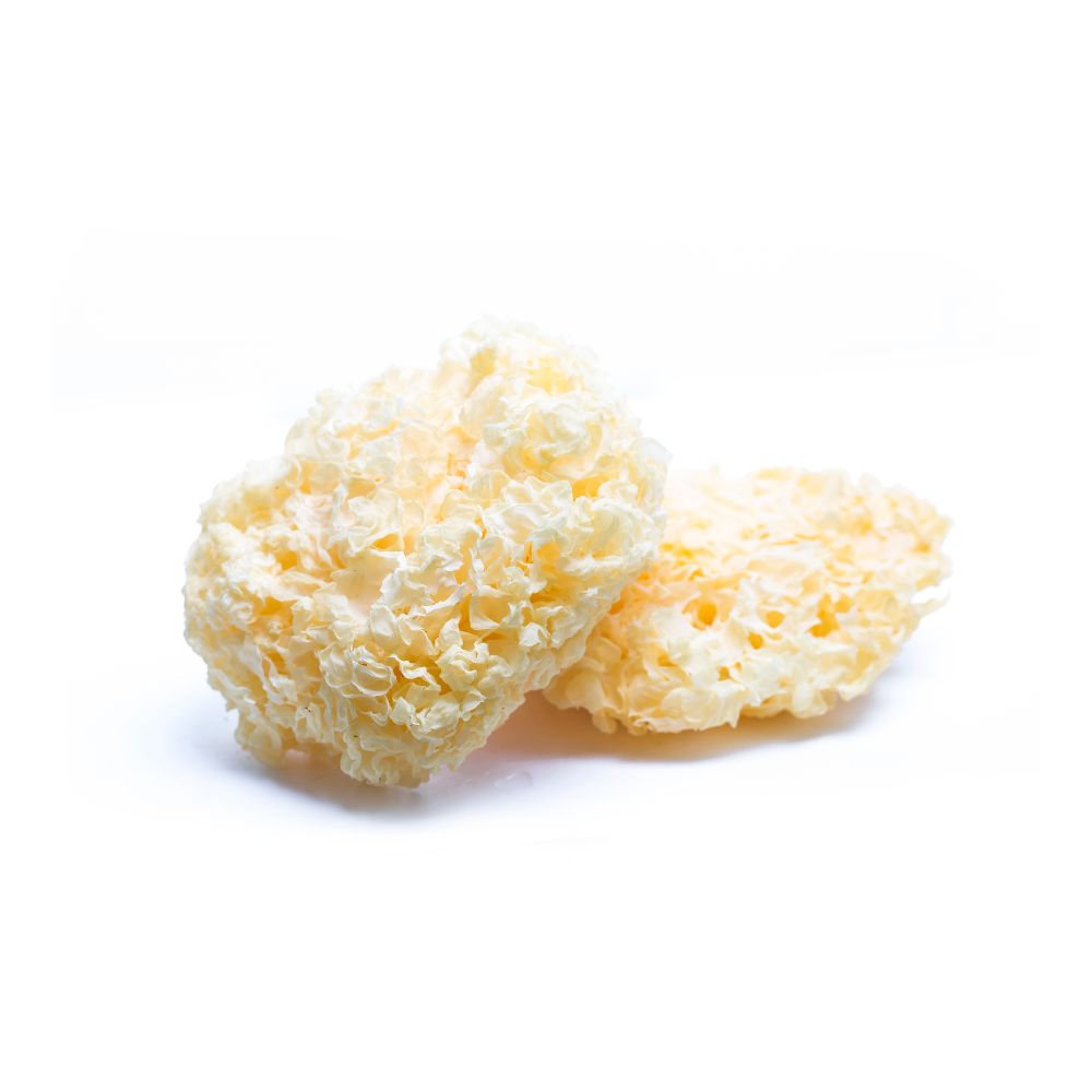 Dried Snow Fungus 银耳 (Tremella Mushroom/Fuciformis/Yin Er/Bai Mu Er) | (50g)