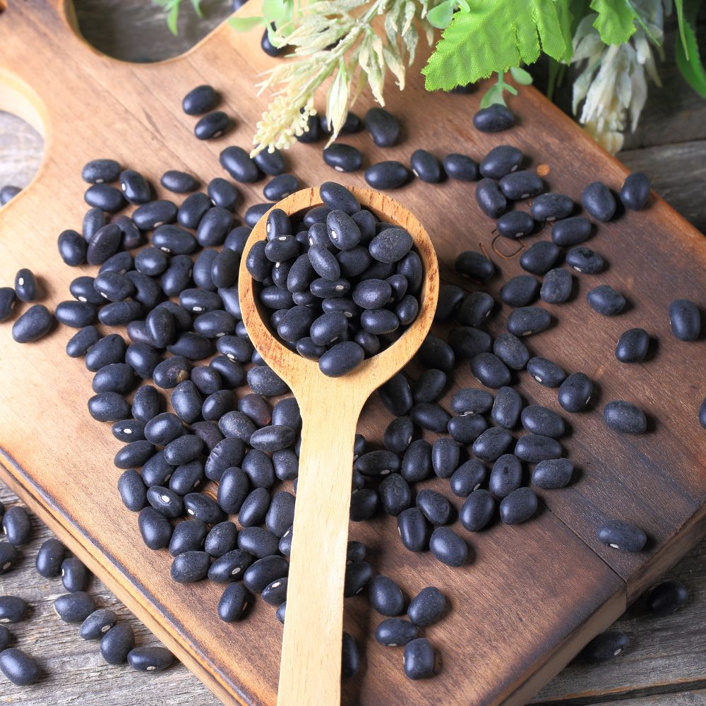 Black Soybeans 黑豆 (Douchi/Hei Dou) | (100g)