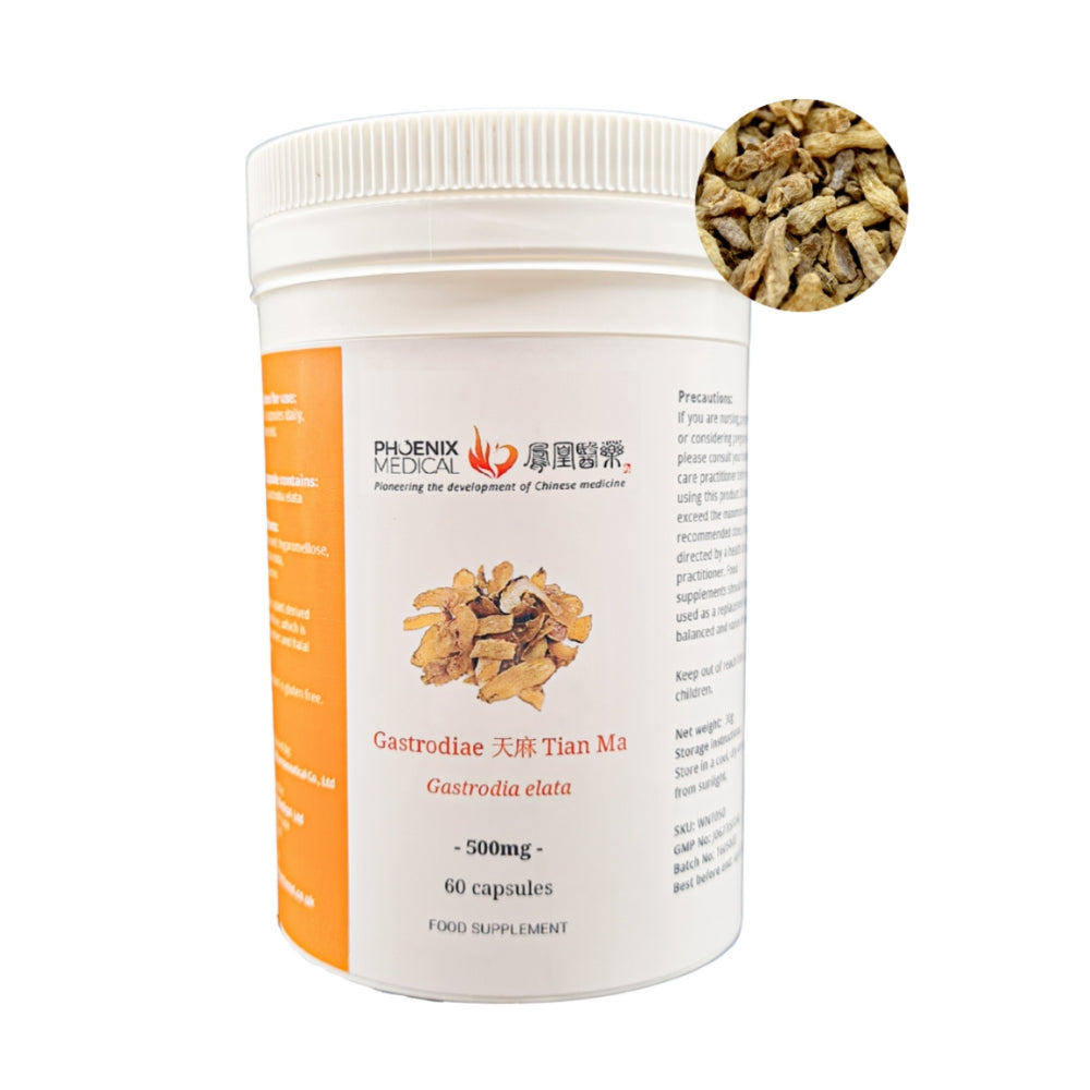 Gastrodia Root (Tian Ma/天麻胶囊) Supplement - 60 Capsules