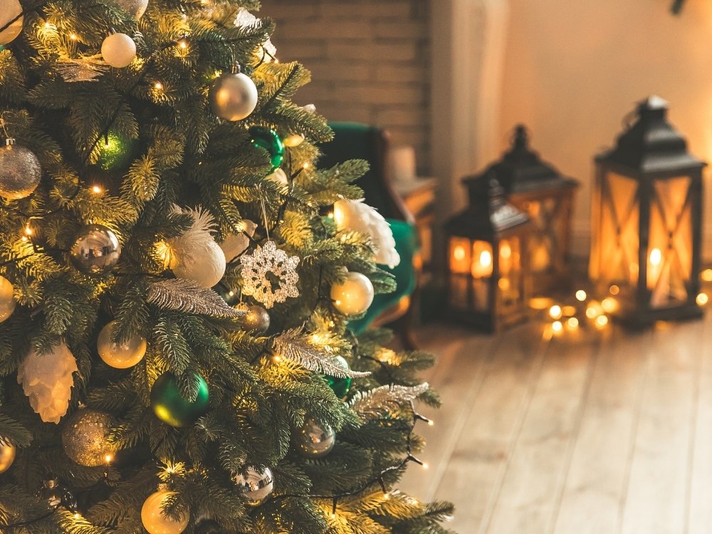 Vita Herbal Nutrition