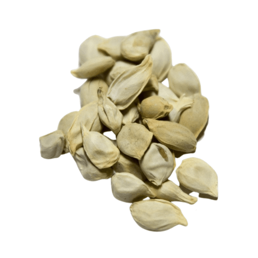 plant tangerine seeds Dried Citrus/Tangerine Seeds (Ju He)